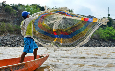 Pesca Tradicional