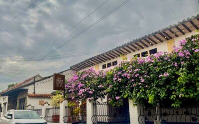 Piel Majagua