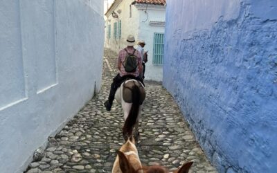 Cabalgatas ecohonda