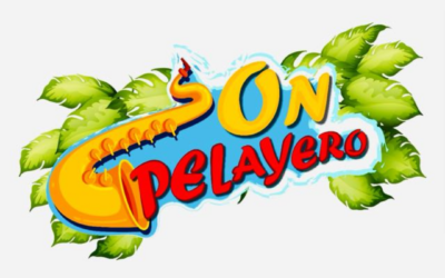 Agrupación Musical Son Pelayero