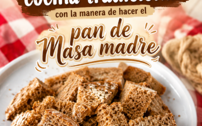 🥖✨ Culminamos los talleres de cocina tradicional con el arte del pan de masa madre